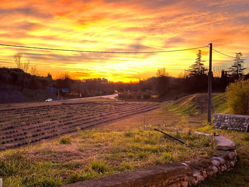 Agriturismo Al Mancino Lonato Εξωτερικό φωτογραφία